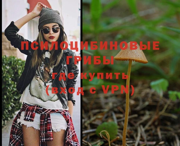 a pvp Баксан