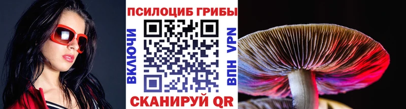 блэк спрут ТОР  наркошоп  Катав-Ивановск  Псилоцибиновые грибы ЛСД 